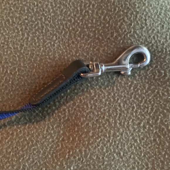 Flexi Comfort 2 blue dog leash. Retractable. 5 yards and 10 inches. - Picture 5 of 5